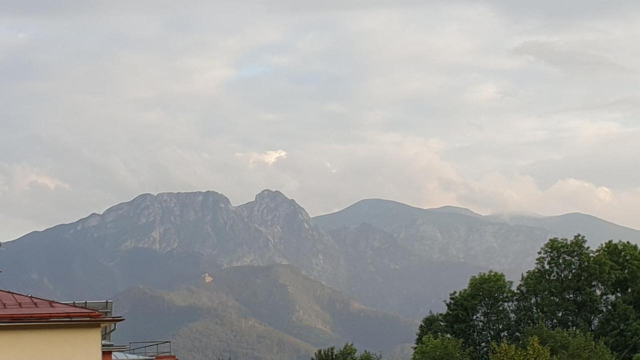 Villa Fortuna - Regionalne Apartamenty & Spa - Sauna, Grill, Jacuzzi Z Widokiem Na Tatry Zakopane Extérieur photo