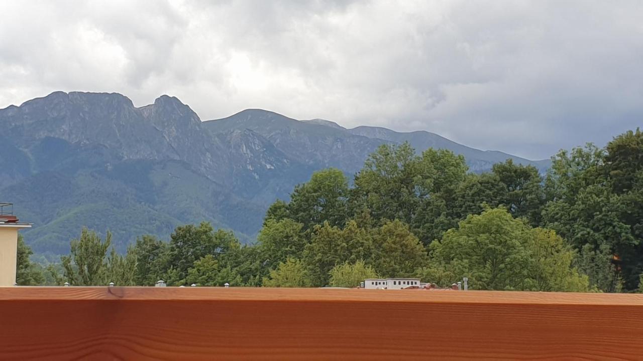 Villa Fortuna - Regionalne Apartamenty & Spa - Sauna, Grill, Jacuzzi Z Widokiem Na Tatry Zakopane Extérieur photo